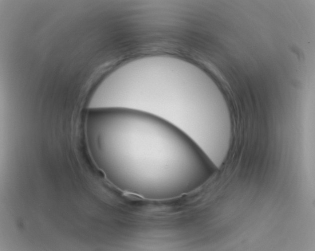 X0000114720403200910211056