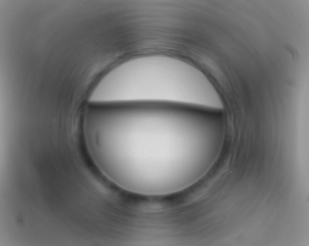 X0000114720404200910211056