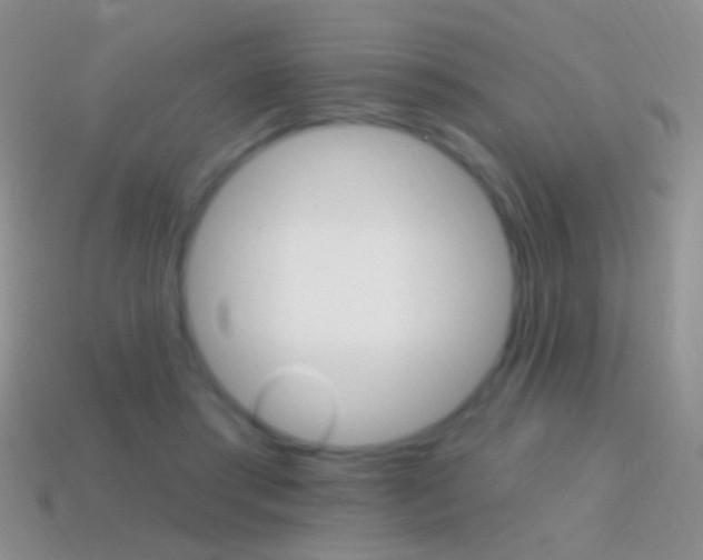 X0000114720405200910211056