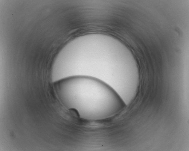 X0000114720413200910211056