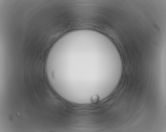 X0000114720415200910211056