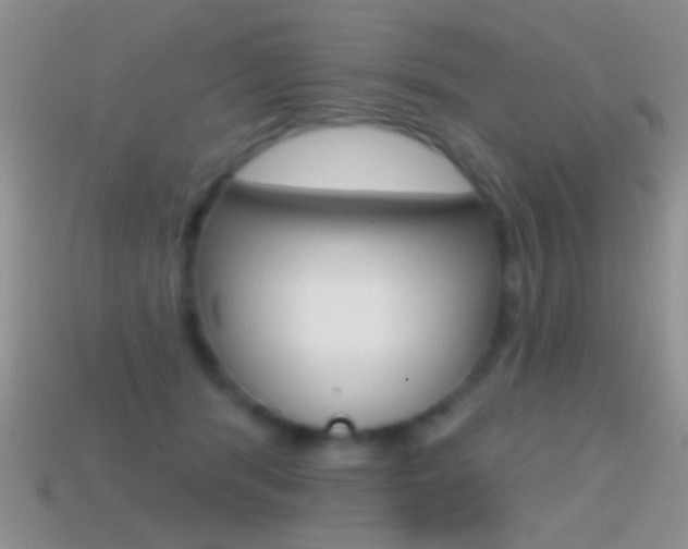 X0000114720416200910211056