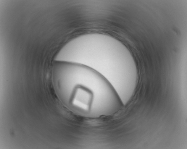 X0000114720417200910211056