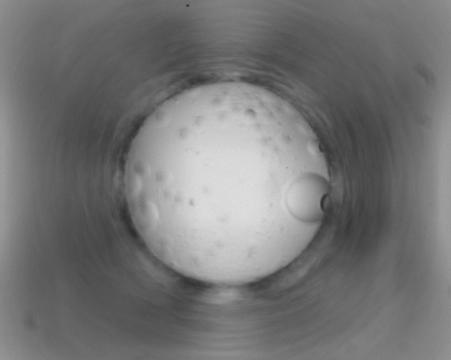 X0000114720418200910211056