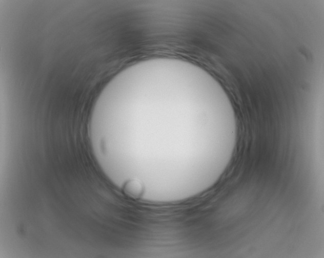 X0000114720419200910211055