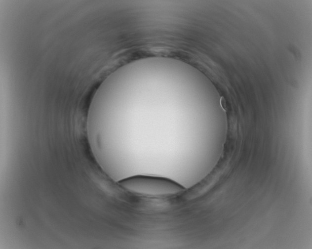 X0000114720421200910211055