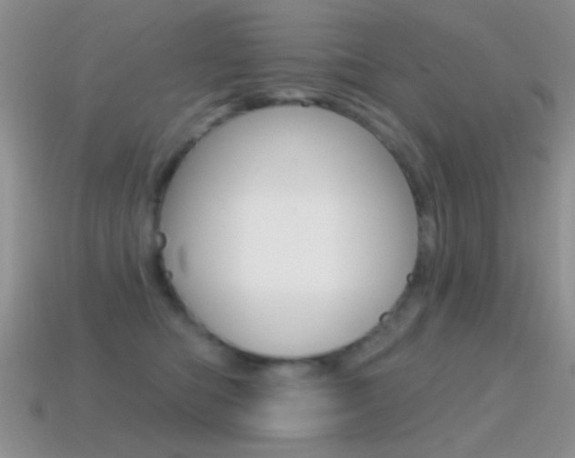 X0000114720422200910211055