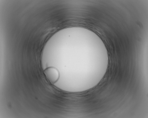 X0000114720423200910211055