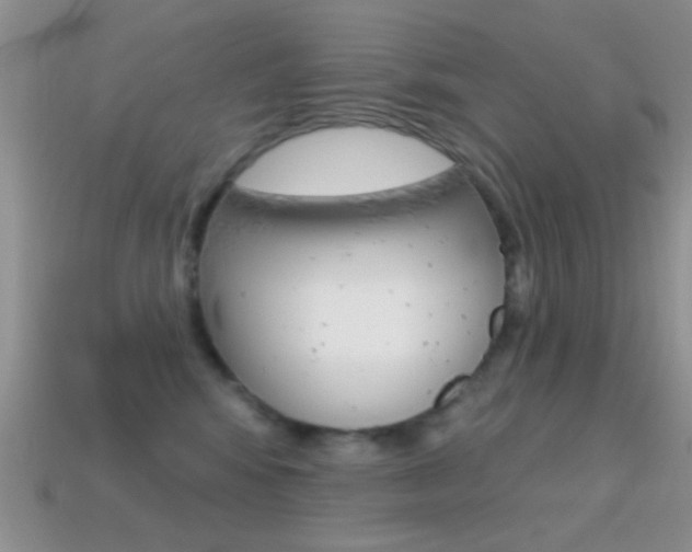 X0000114720424200910211055