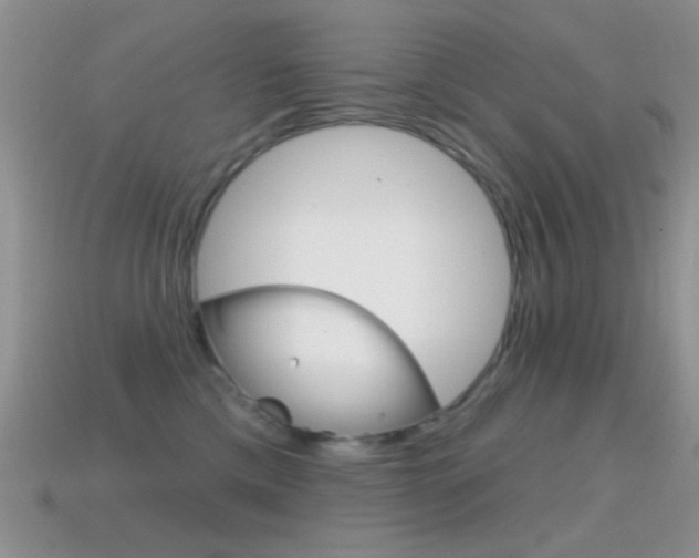 X0000114720425200910211055