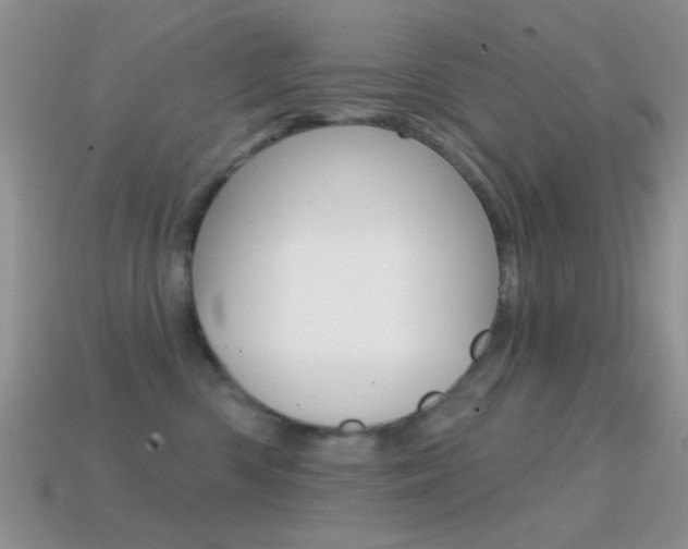 X0000114720426200910211055