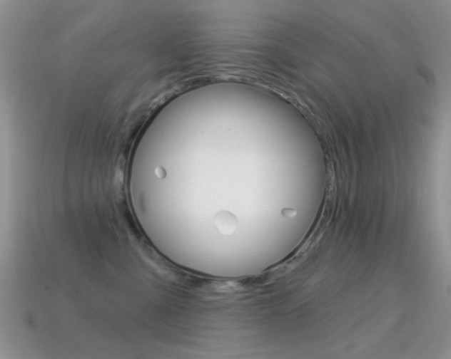 X0000114720427200910211055