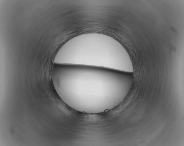 X0000114720428200910211055