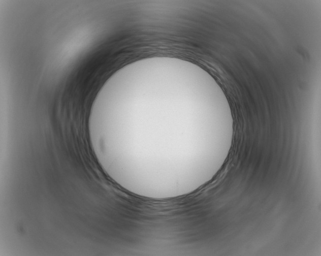 X0000114720429200910211055