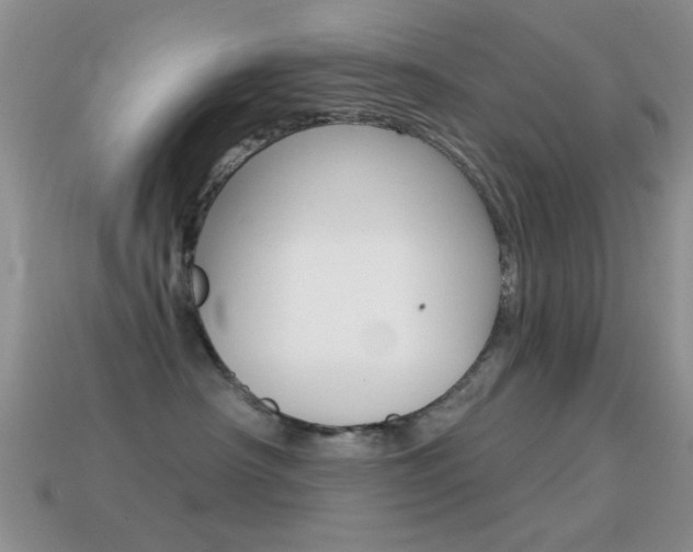 X0000114720430200910211055