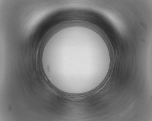 X0000114720431200910211055