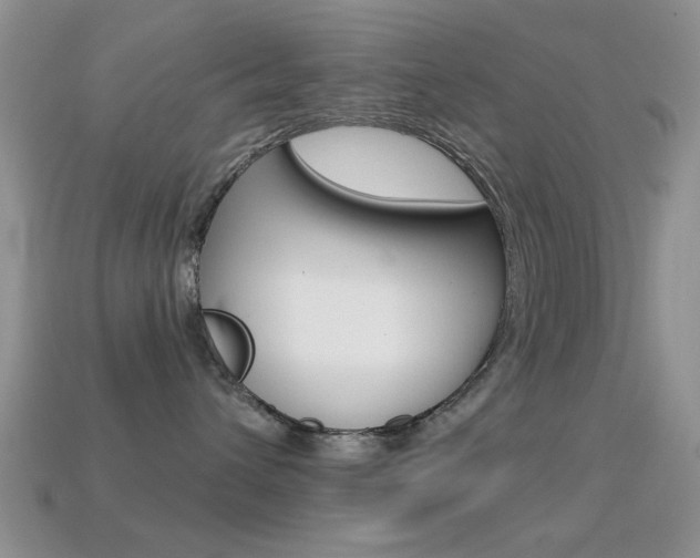 X0000114720432200910211055