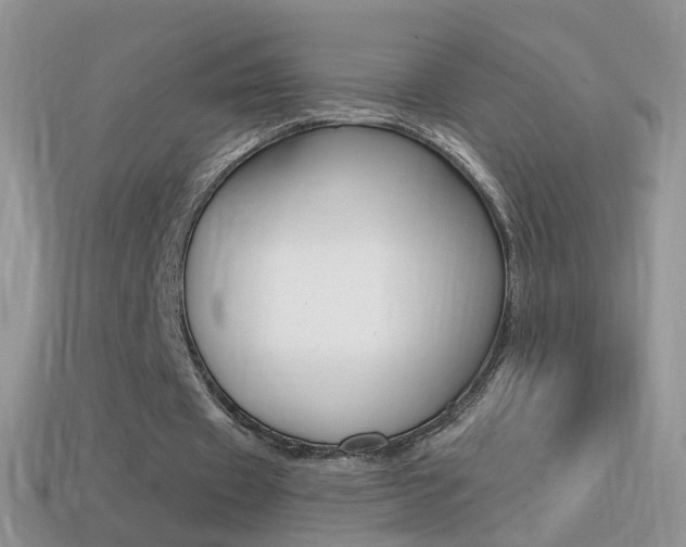 X0000114720433200910211055