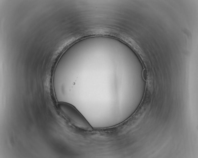 X0000114720434200910211055