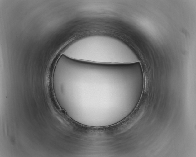 X0000114720435200910211055