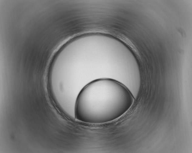 X0000114720436200910211055