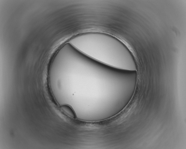 X0000114720437200910211055