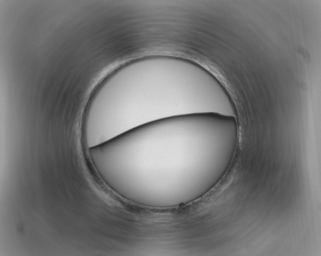 X0000114720438200910211055