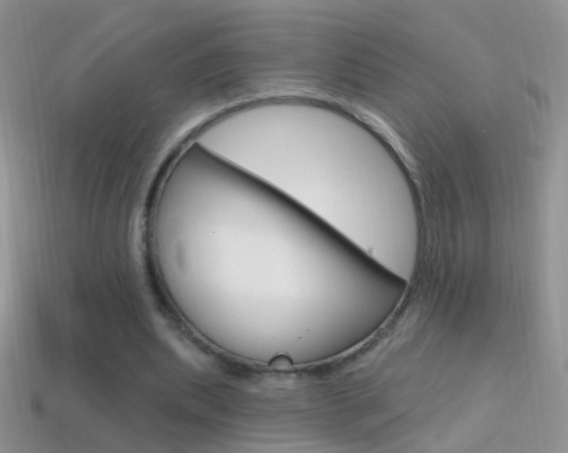 X0000114720439200910211055