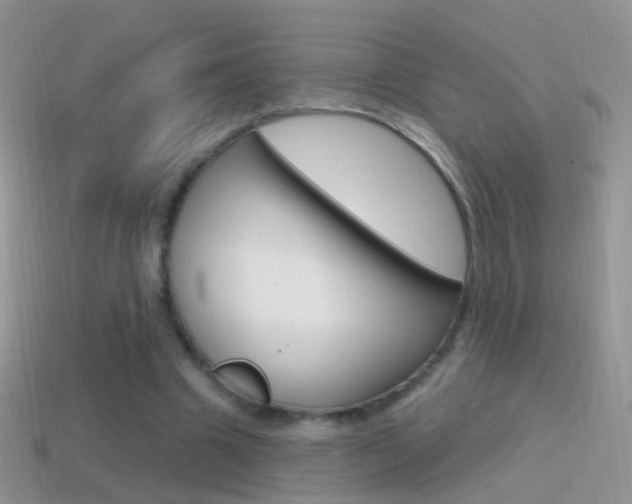 X0000114720441200910211055