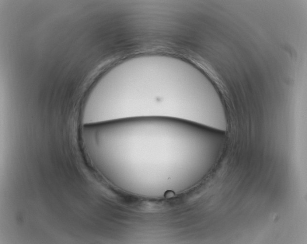 X0000114720442200910211055