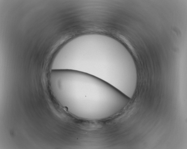 X0000114720443200910211055