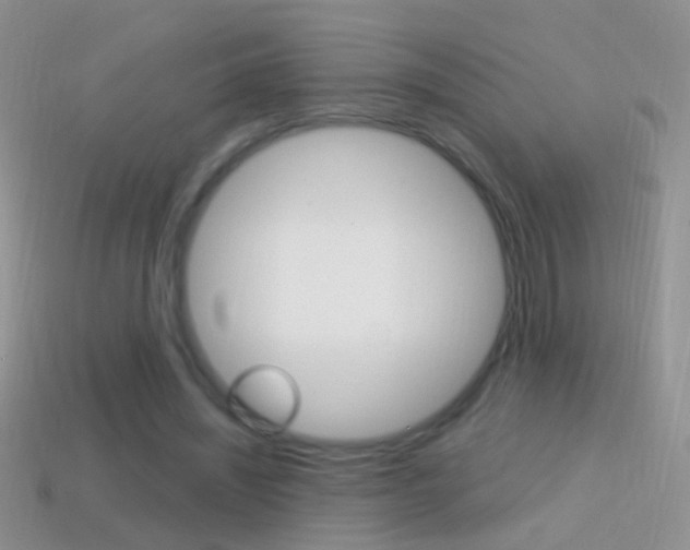 X0000114720444200910211055