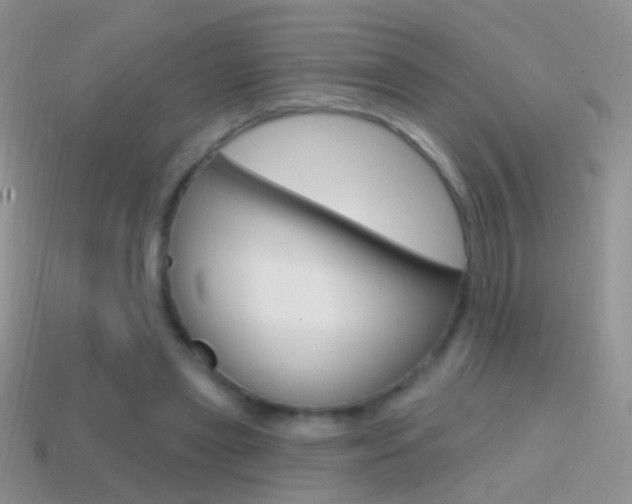 X0000114720445200910211055