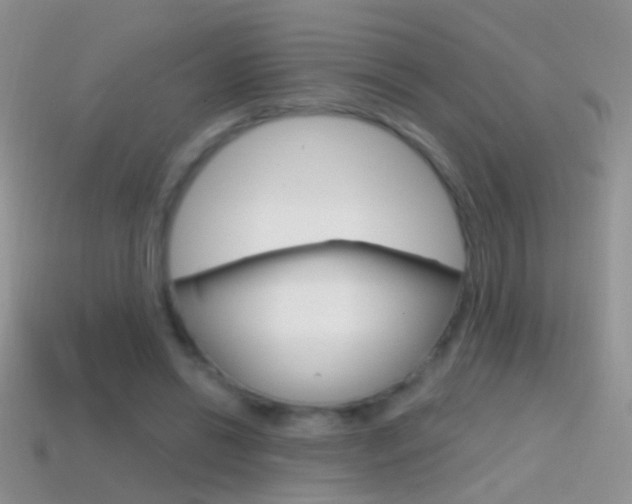 X0000114720446200910211055