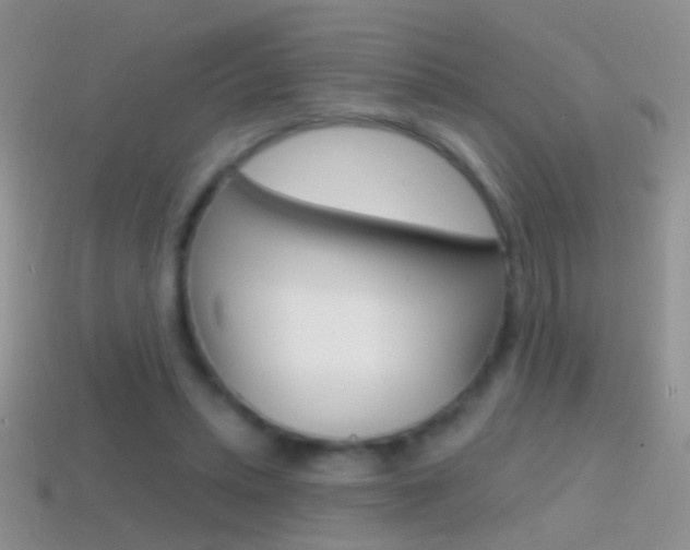 X0000114720447200910211055