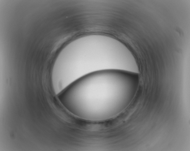 X0000114720448200910211055