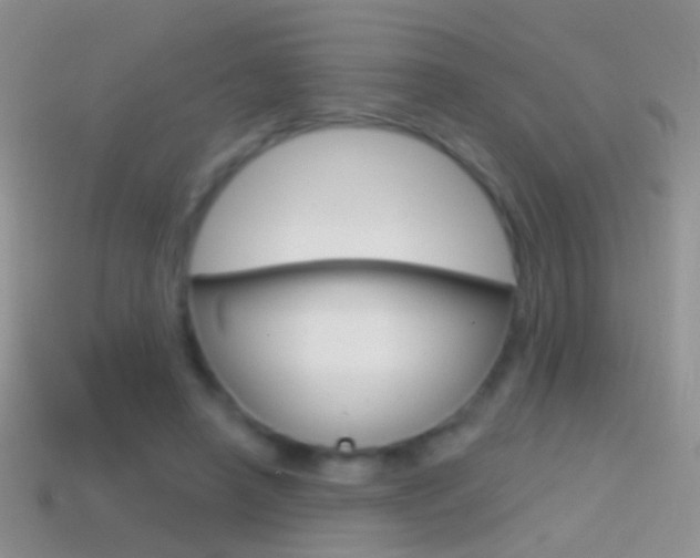 X0000114720450200910211055