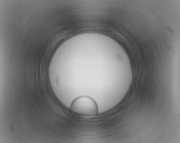 X0000114720452200910211055