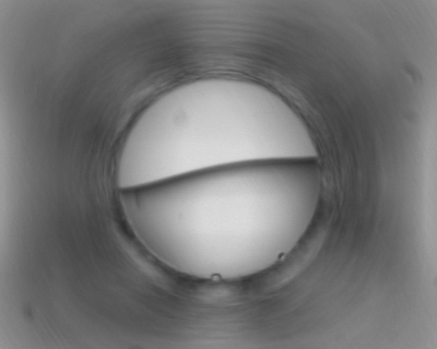 X0000114720454200910211055