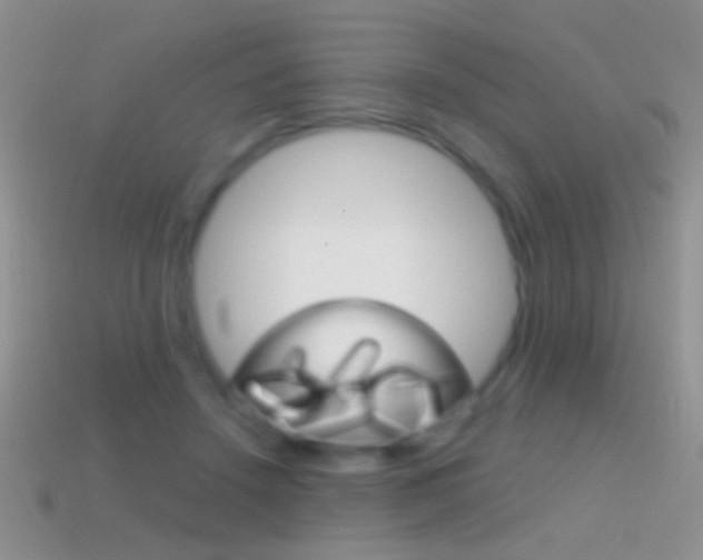 X0000114720456200910211055