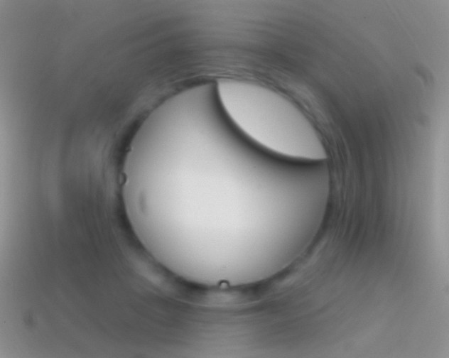 X0000114720457200910211055