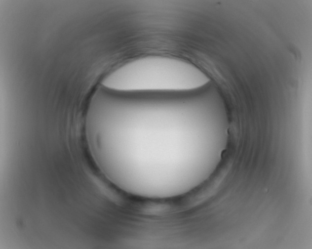 X0000114720458200910211055