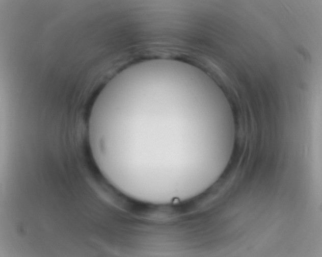 X0000114720459200910211055