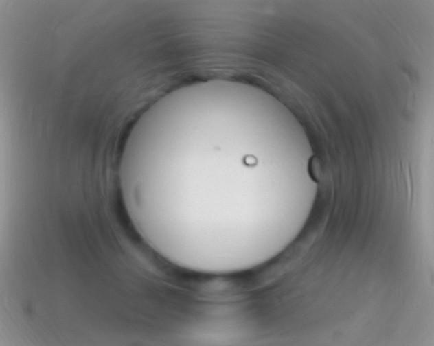 X0000114720460200910211055