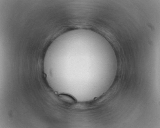 X0000114720461200910211055