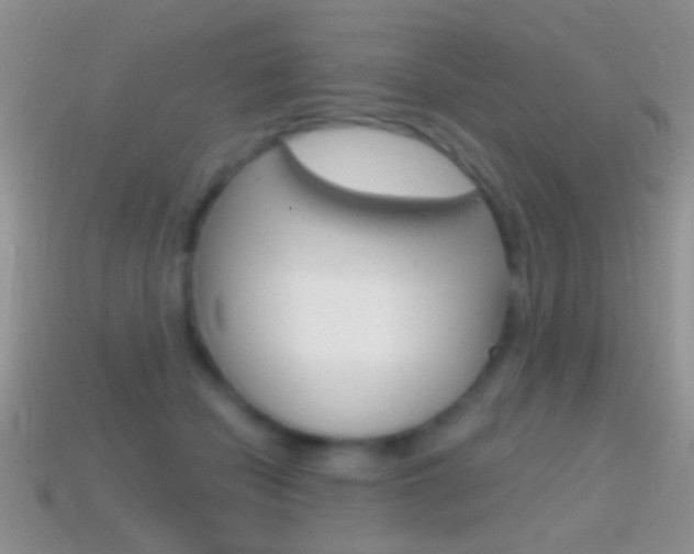 X0000114720462200910211055