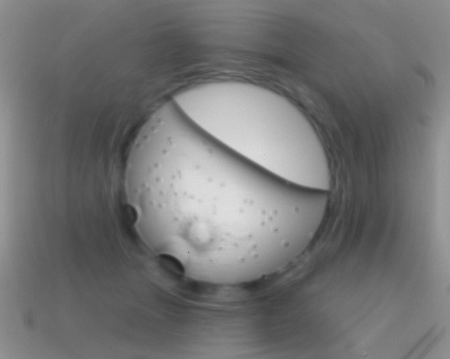 X0000114720463200910211055