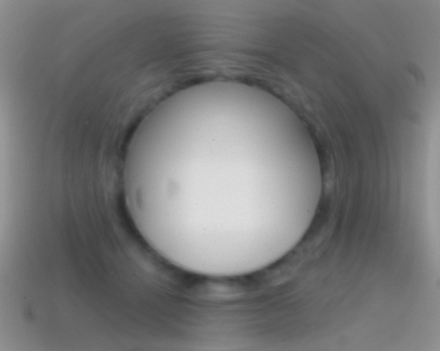 X0000114720464200910211055