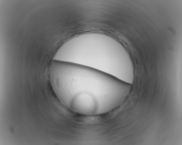 X0000114720465200910211055