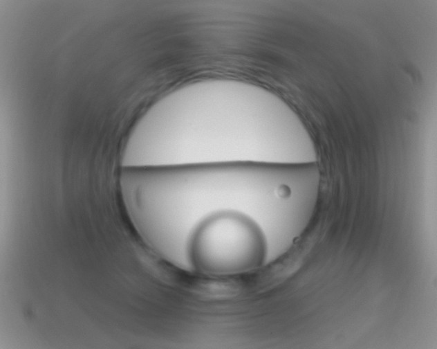 X0000114720466200910211055